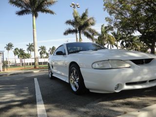 1998 Ford Mustang Svt Cobra Coupe 2 - Door 4.  6l photo