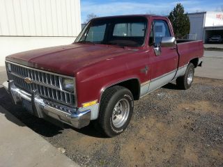 1981 Chevy Short Bed photo