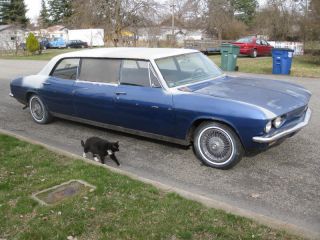 1966 Chevy Corvair Limousine photo