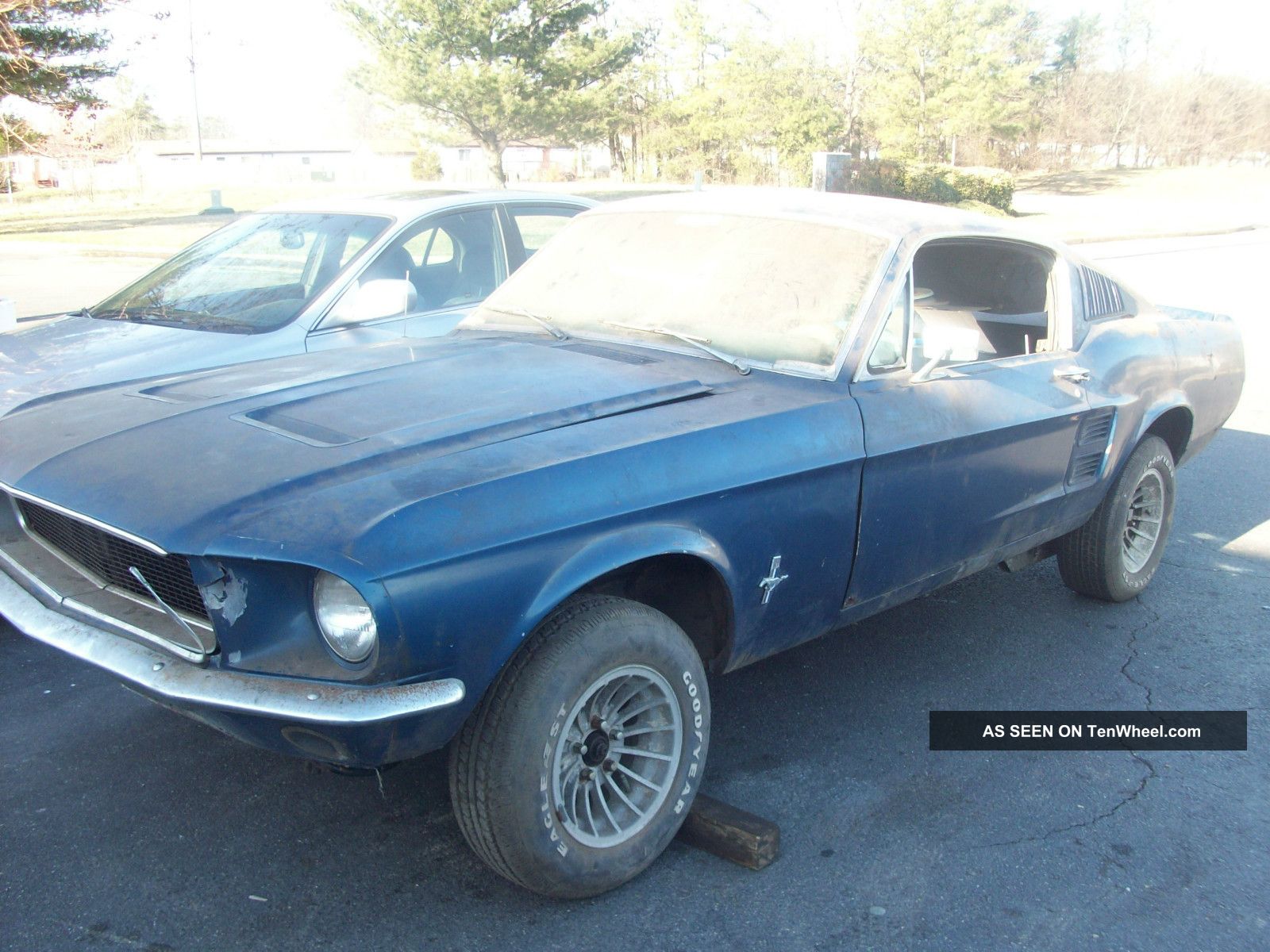1967 Mustang Fastback Shelby Clone Mustang photo