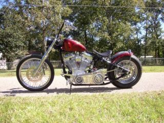 2009 Harley photo