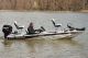 2009 Bass Tracker Pro Team 170 Tx Bass Fishing Boats photo 6