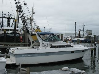 1987 Cruisers Inc Sea Devil photo