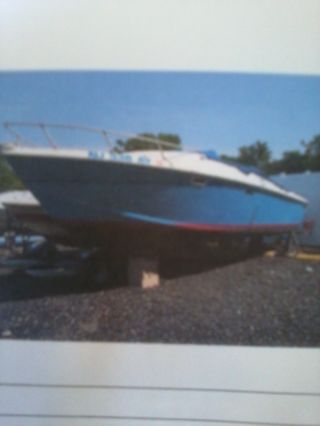 1975 Chris Craft Cuddy Cabin photo