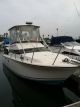 1973 Skipjack Skipjack 28 Offshore Saltwater Fishing photo 2