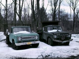 Model 1310 Rack Truck,  And Model 1310 Dumper,  Both Year 1971 Running photo