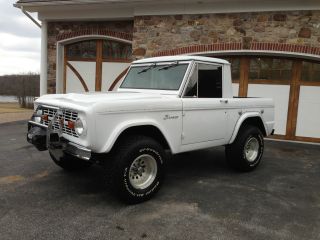 1976 Ford Bronco Halfcab,  351 V - 8,  Automatic,  Immaculate Paint, photo