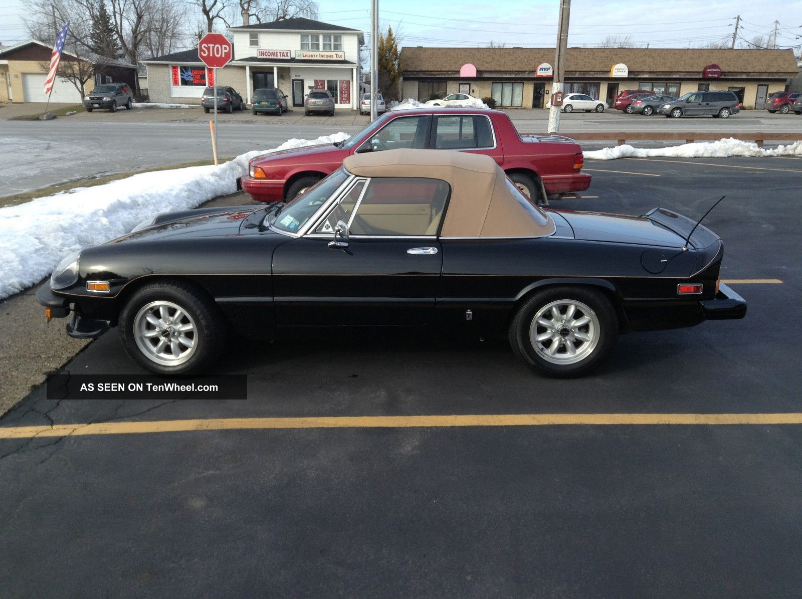 1981 Alfa Romeo Spider Spider photo