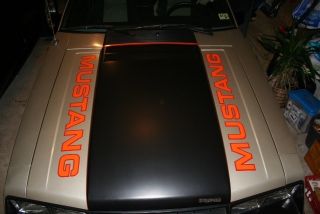 1979 Ford Mustang Indy Pace Car photo