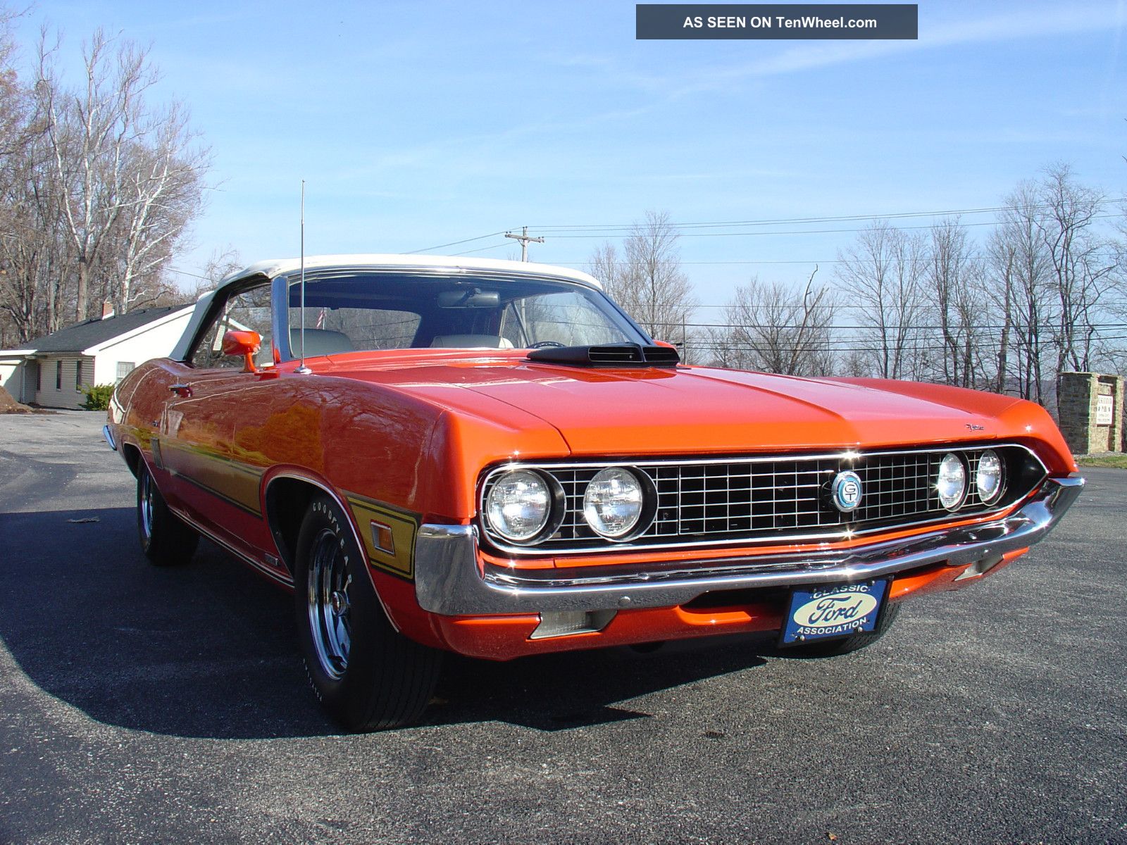 Ford torino shaker #3