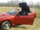 Ford Mustang Svt Cobra Convertible 2 - Door 4.  6l Procharged 1996 Mustang photo 9