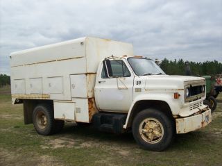 1981 Chevrolet Dump Truck photo