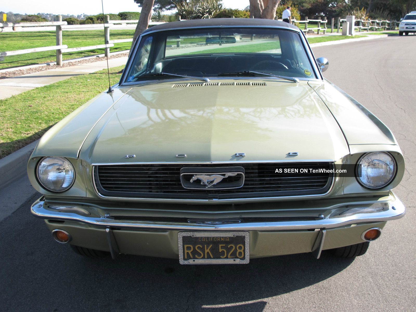 1966 Ford mustang options #3