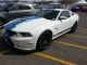 Shelby Gt350 2013 Mustang photo 3