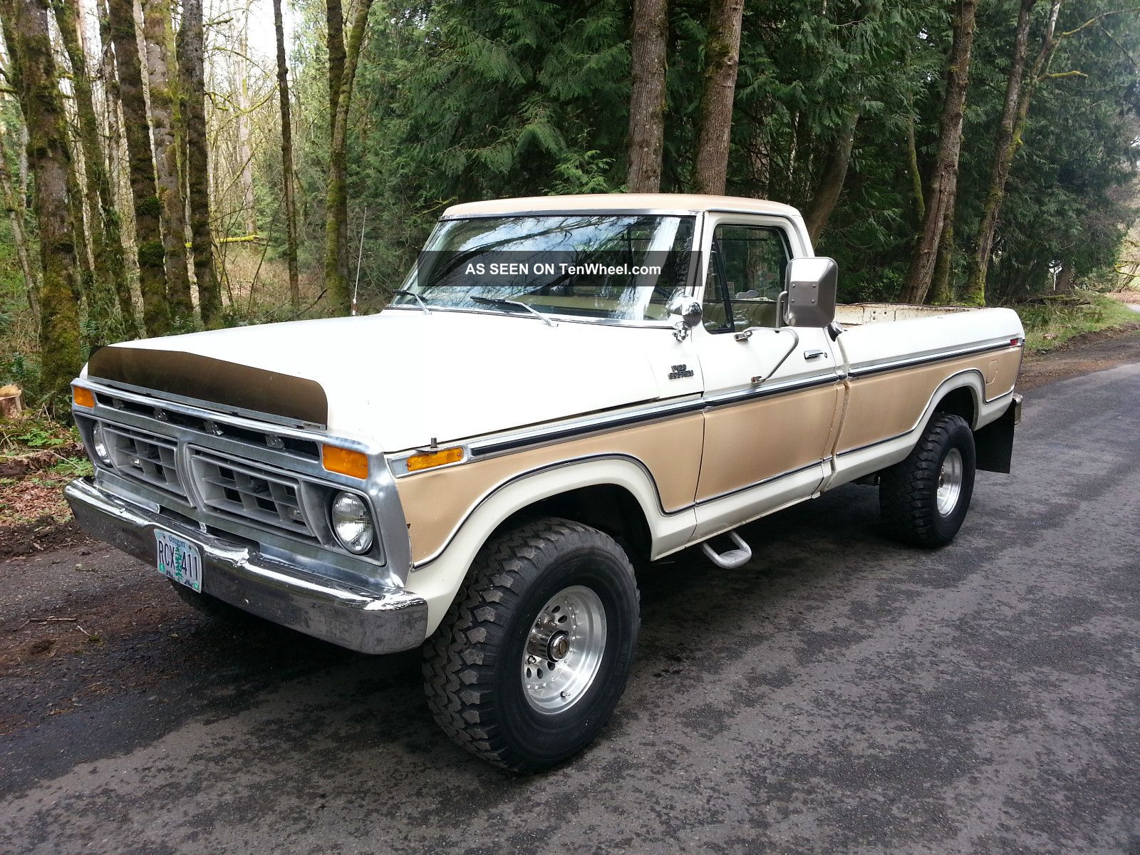 1977 Ford pick up truck #7