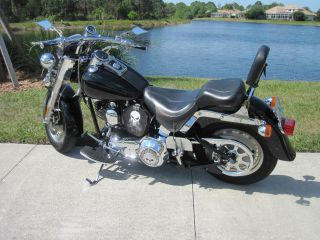 Black 2001 Harley Davidson,  Fatboy,  Flstf,  Cruiser,  Street Bike photo