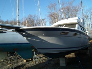 1987 Bayliner 285 photo