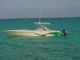2012 Solid Powerboats 26 ' 32 ' 40 ' Cruisers photo 10