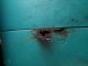1960 Mercury Comet Great Restoration Project Comet photo 3
