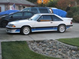 1988 Sallen Mustang photo
