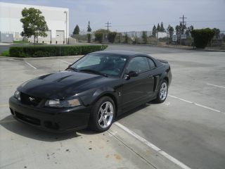 2004 Ford Mustang Svt Cobra Coupe 2 - Door 4.  6l photo