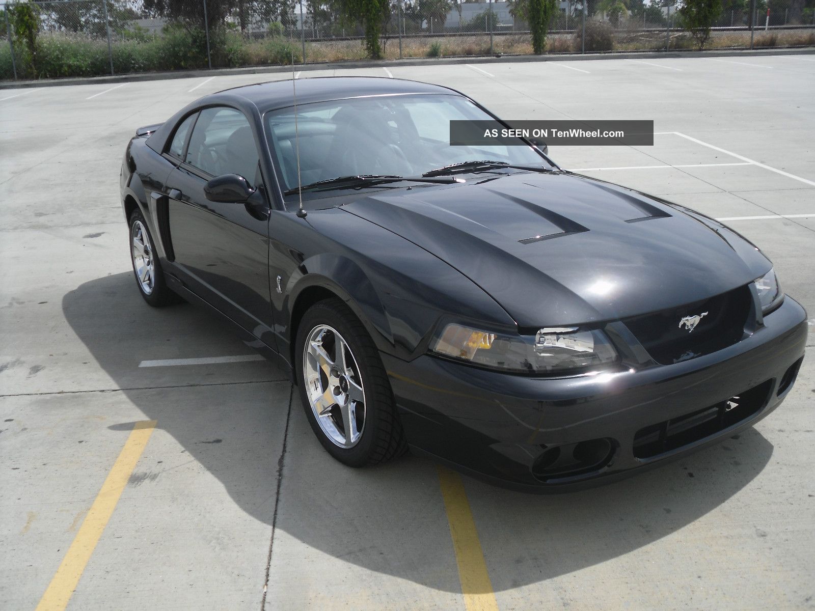 2004 Ford mustang 2 door coupe #8