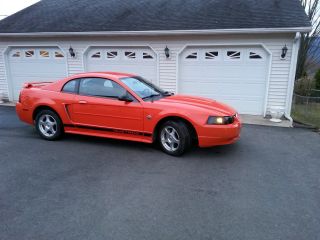 2004 Competition Orange Mustang 40th Anniversary Fox Body Charcoal Interior photo