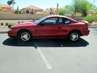 1998 Ford Mustang Base Coupe 2 - Door 3.  8l photo
