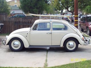 1966 Vw Bug Volkswagen photo