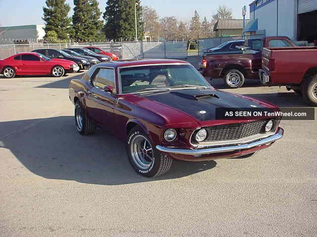 1969 Mustang Hardtop - Cherry Coupe - Gt 350 Tribute Mustang photo