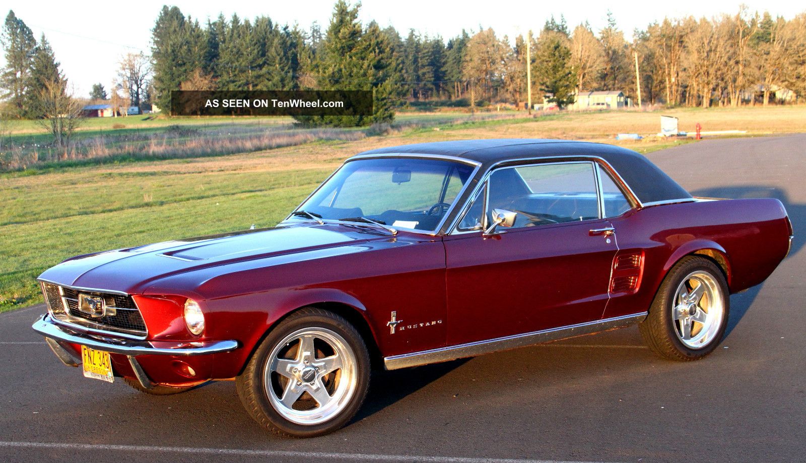 1967 Ford mustang 289 coupe #4