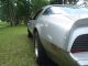 1981 Trans Am With Ws6 Special Performance Package Trans Am photo 6