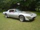 1981 Trans Am With Ws6 Special Performance Package Trans Am photo 7