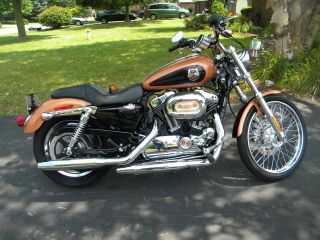 2008 Harley Dav.  Xl 1200 Custom 105th Anniversary 0242 Of 3200 Made. photo