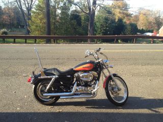 2008 Harley Davidson Sportster 1200 Custom photo