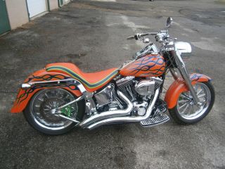 2004 Harley - Davidson Fatboy Customized photo
