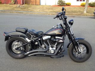 2009 Harley Davidson Crossbones photo