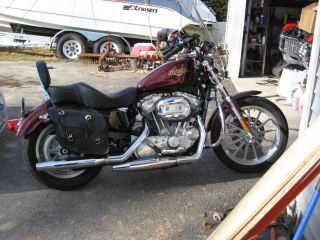 2008 Harley Sporster Xl883l photo