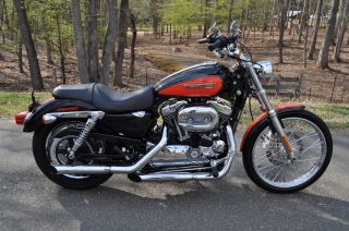 2009 Xl 1200 Custom Stunning Color Only $129.  00 A Month photo