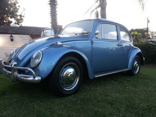 1966 Vw Bug photo