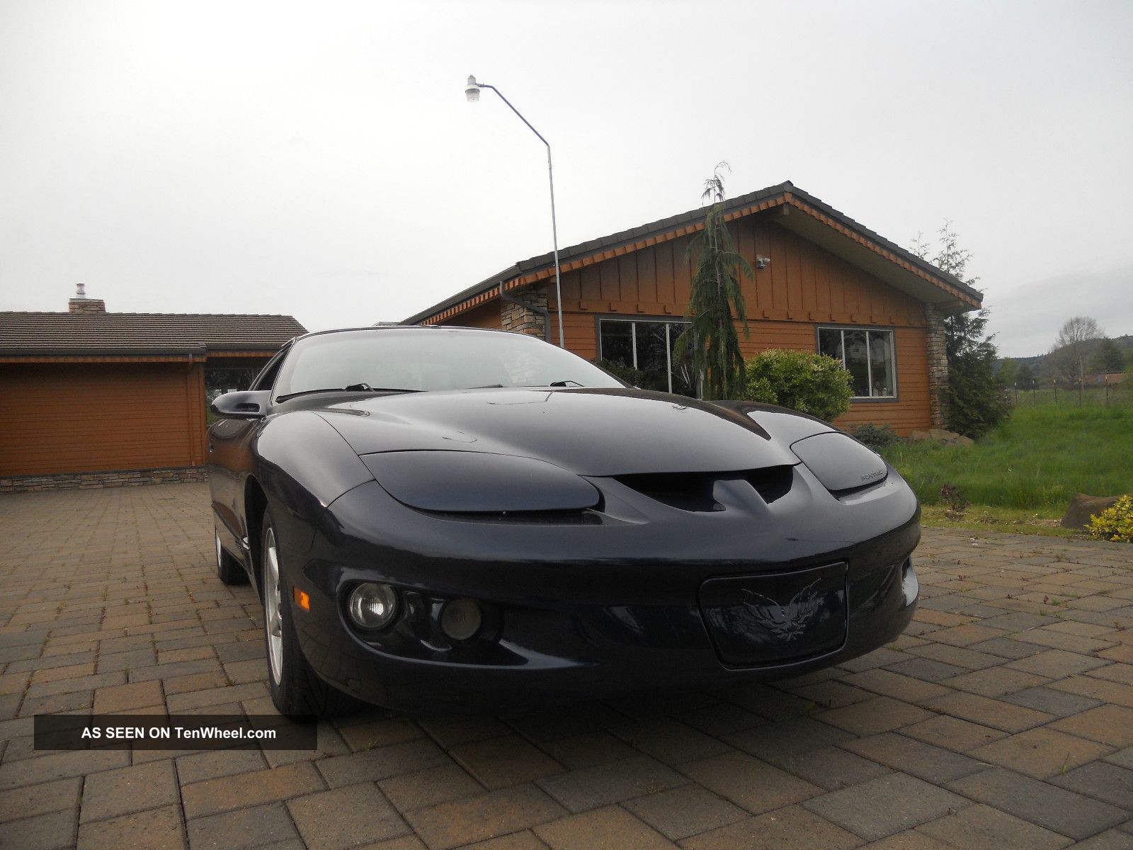 1999 Pontiac Firebird Base Coupe 2 Door 3. 8l