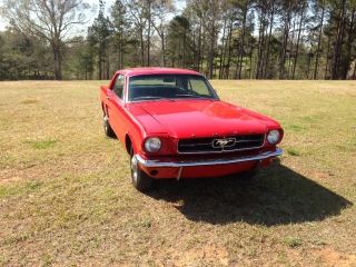 1965 Ford Mustang - photo