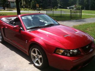 2003 Mustang Cobra Convertible photo