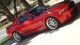 2010 Shelby Mustang Snake Mustang photo 4