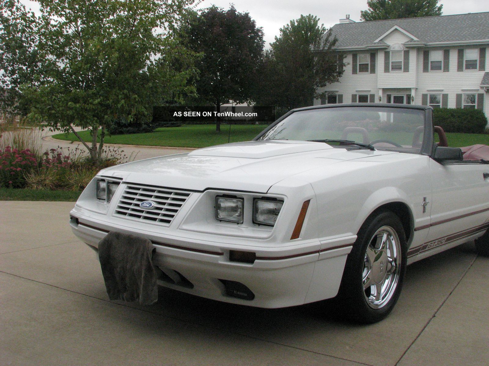 1984 Ford mustang gt350 convertible #10