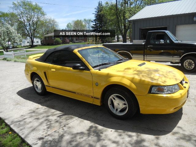1999 Ford Mustang Base Convertible 2 - Door 3.  8l Mustang photo