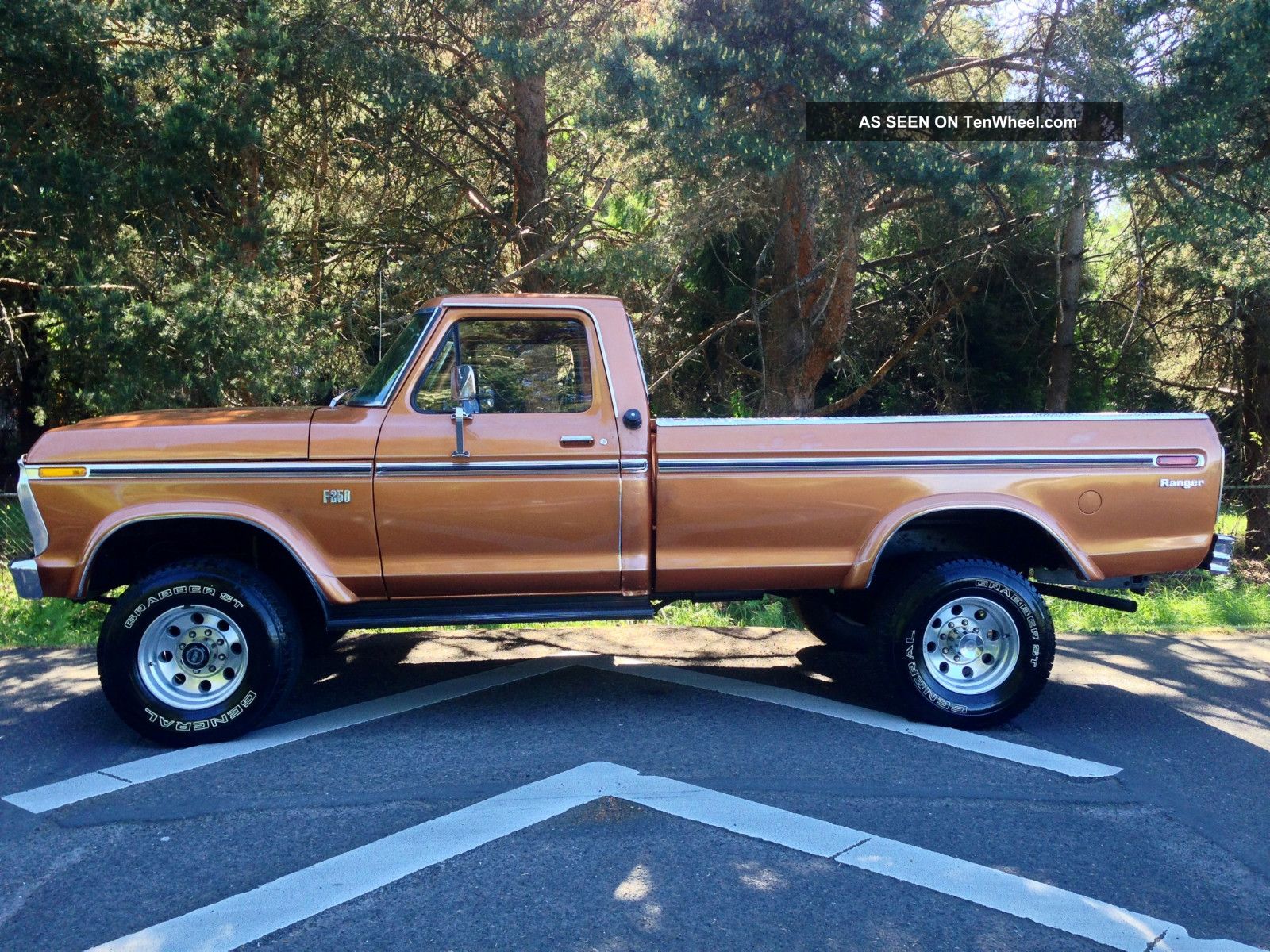 1977 1978 1979 Ford sale truck #1