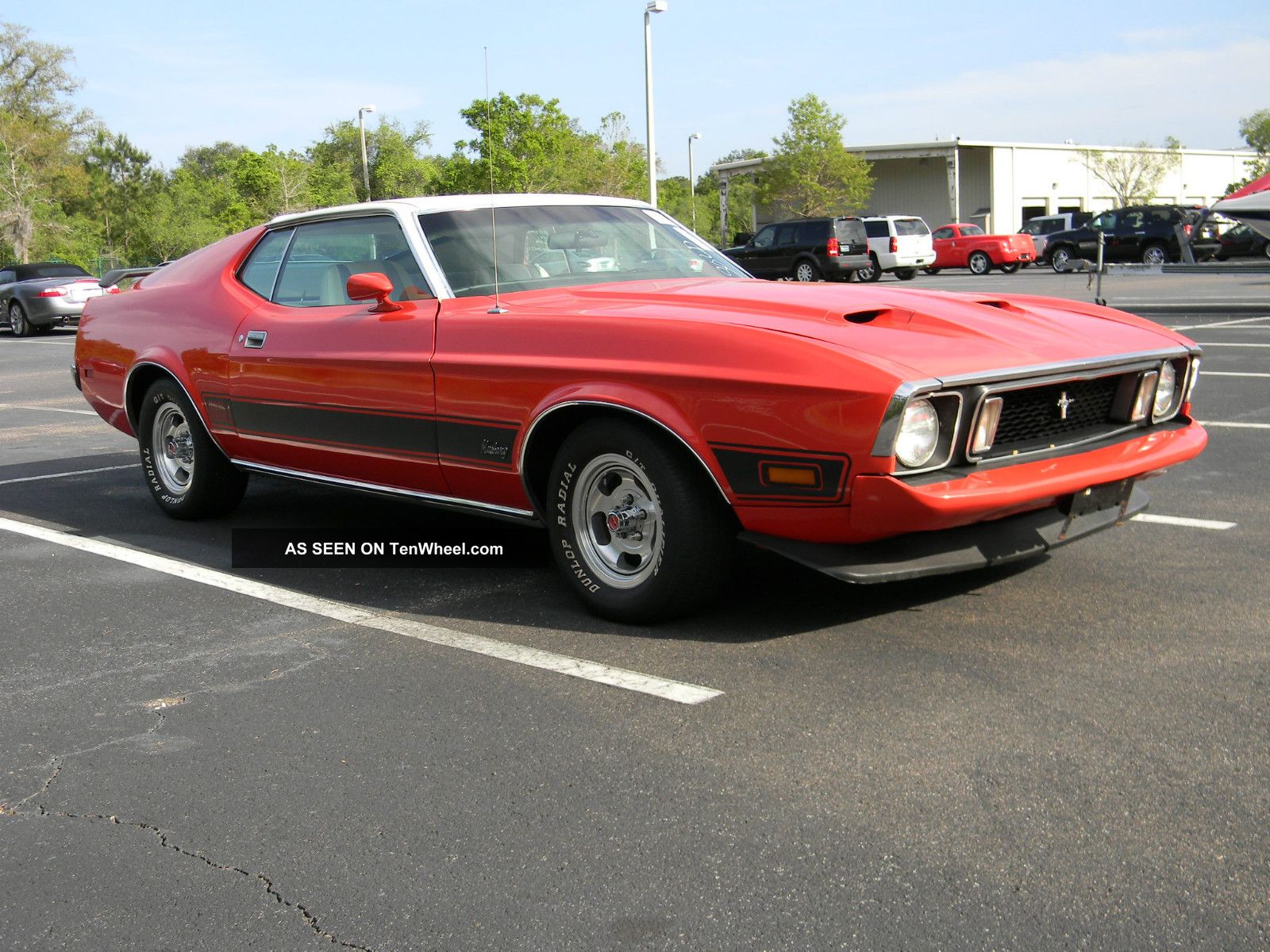 Ford mustang mach 1 fastback del 1973 #10