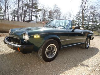 1979 Fiat Spider Convertible Sports Car photo