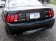 2001 Ford Mustang Gt Bullitt Coupe 2 - Door 4.  6l Rare Bullitt Mustang photo 5